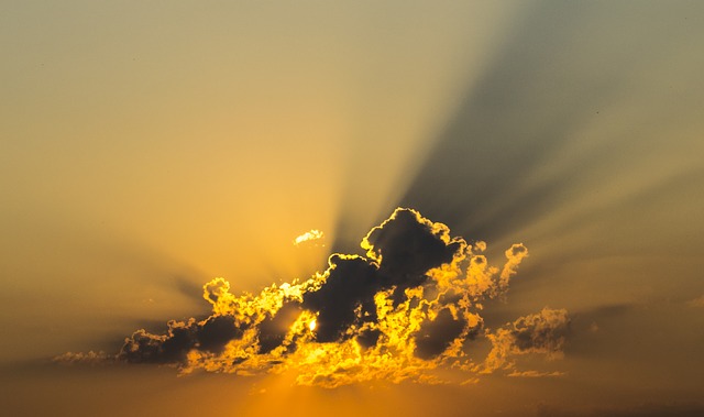 Licht en leugens